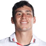 ناويل فيراريسي إرنانديز