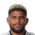 كارلوس هارفي سيسنيروس