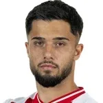يوسف غازيبيغوفيتش
