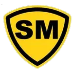 Stade Montois